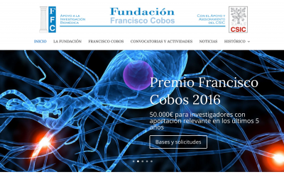 Nuevo diseño de la Página Web de la Fundación